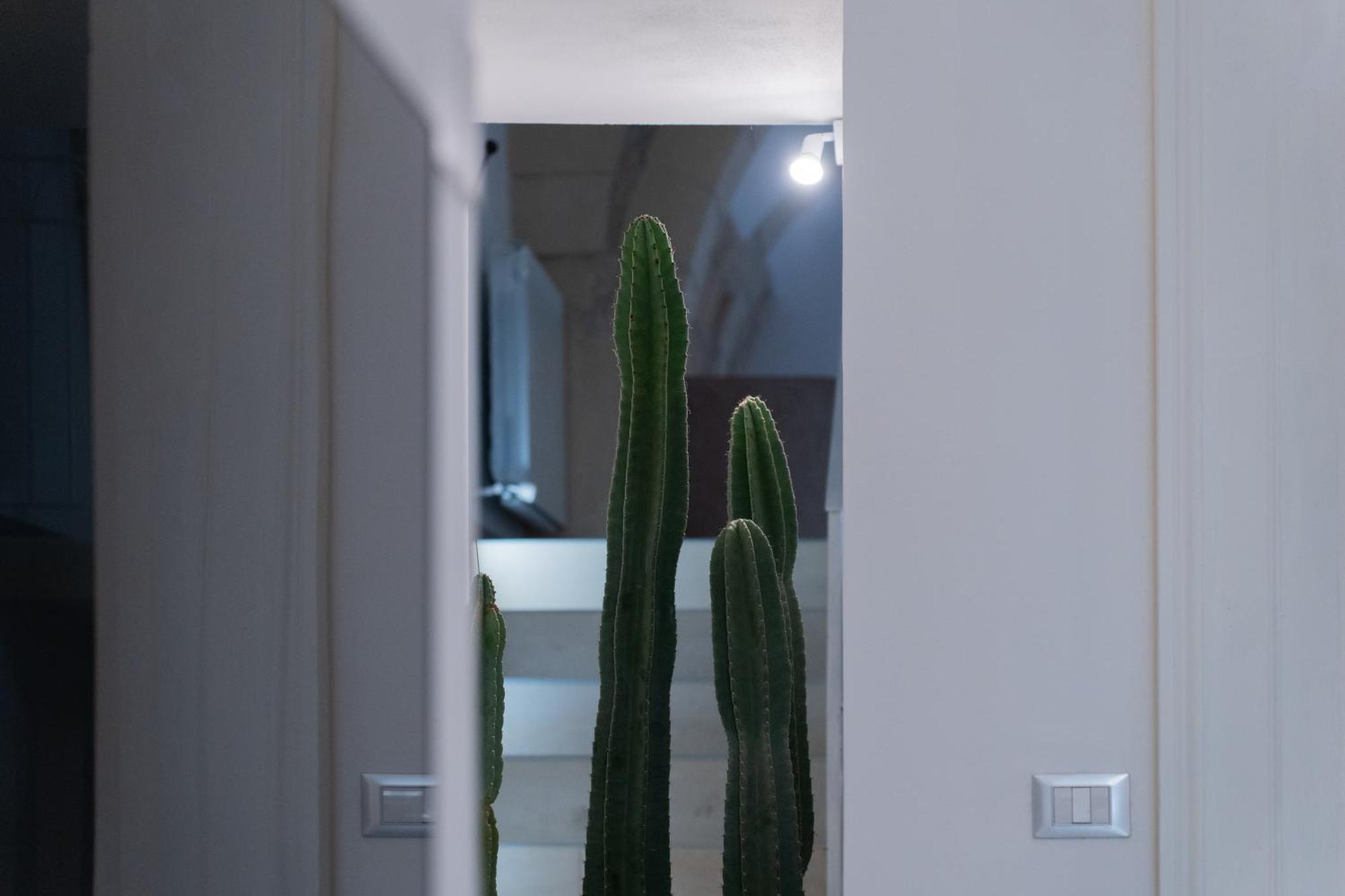 Dimora Barocca Luxury Suites レッチェ エクステリア 写真
